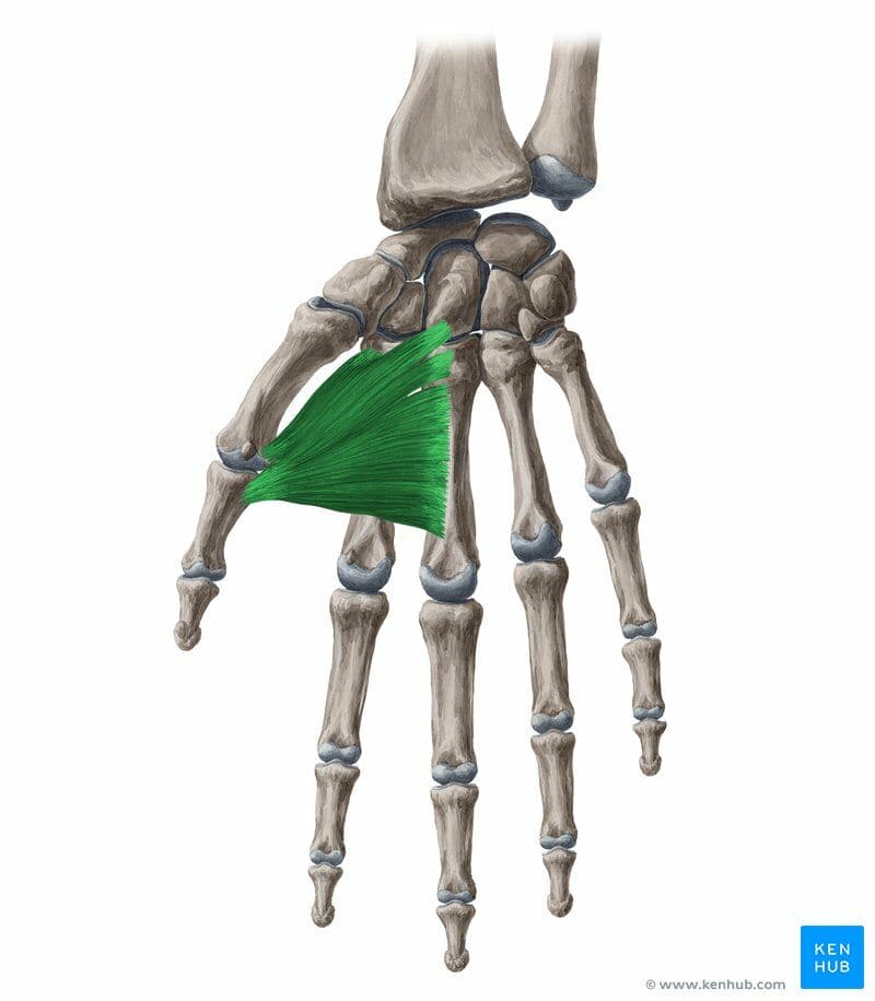 Question Image