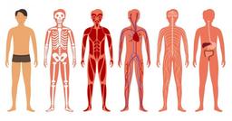 placeholder image to represent content