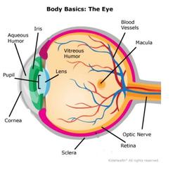 placeholder image to represent content