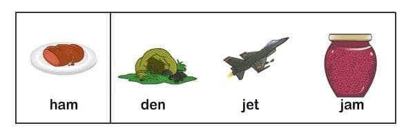 Question Image