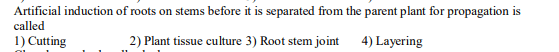 Question Image