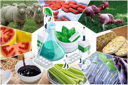 placeholder image to represent content