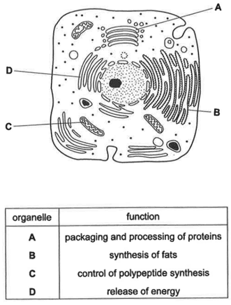Question Image