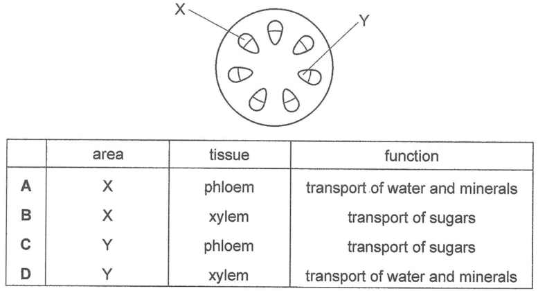 Question Image
