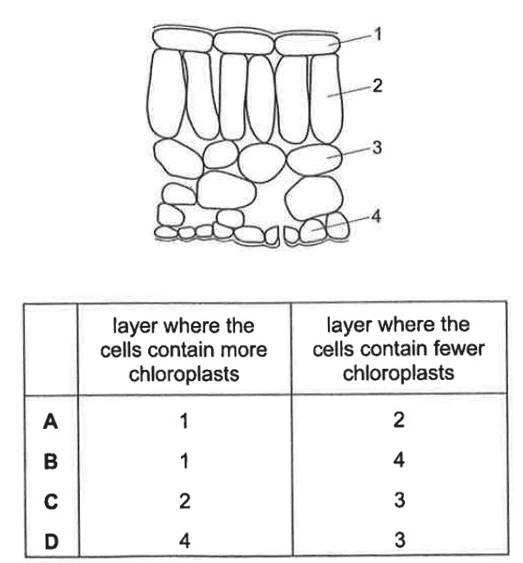 Question Image