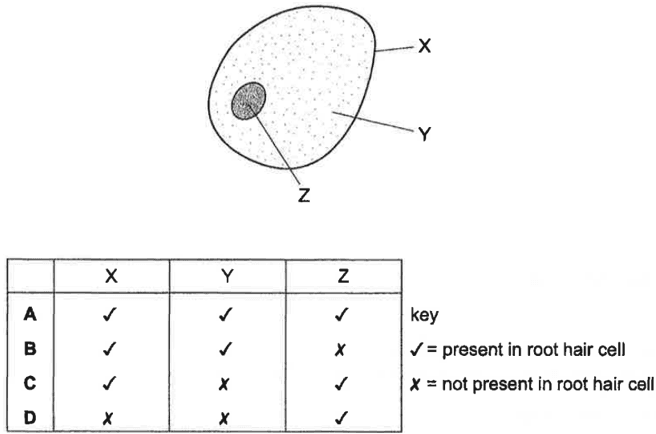 Question Image