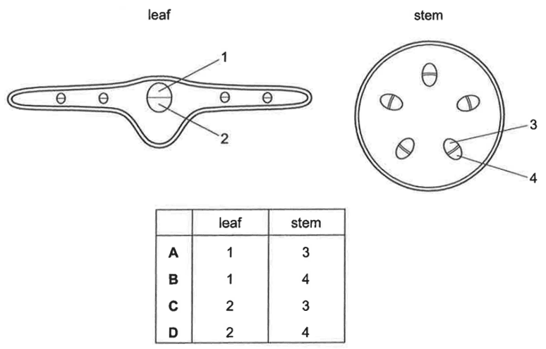Question Image