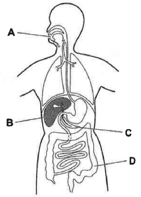 Question Image
