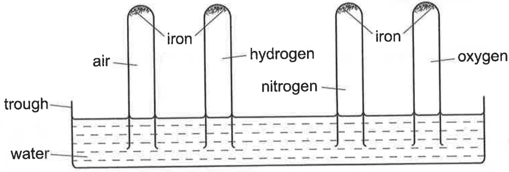 Question Image