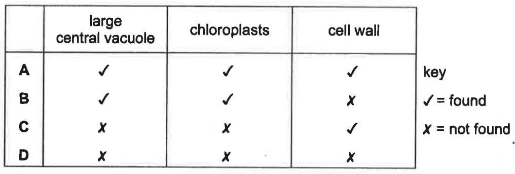 Question Image