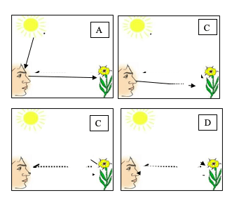 Question Image