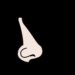 placeholder image to represent content