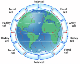 placeholder image to represent content