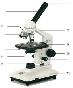 placeholder image to represent content