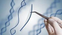 placeholder image to represent content