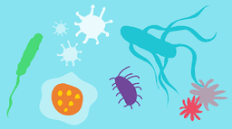 placeholder image to represent content