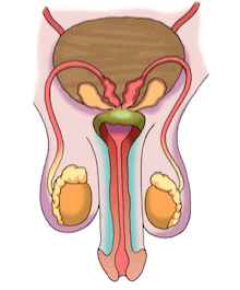 placeholder image to represent content