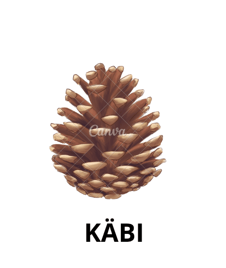 Answer Image