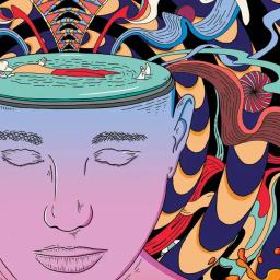 placeholder image to represent content