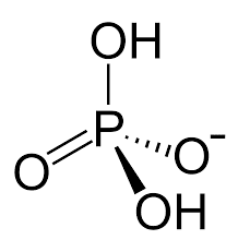 Answer Image