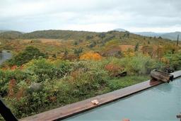 placeholder image to represent content