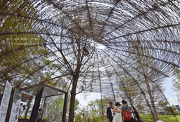 placeholder image to represent content