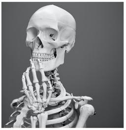 placeholder image to represent content