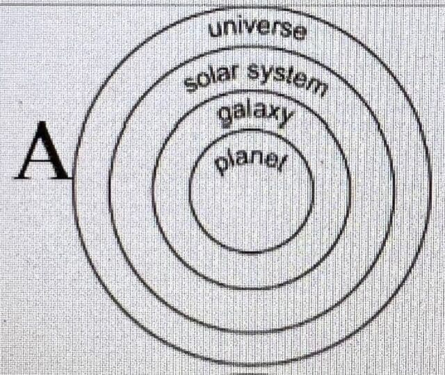 Answer Image