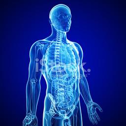 placeholder image to represent content