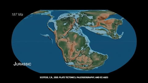 placeholder image to represent content