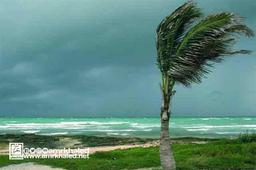 placeholder image to represent content