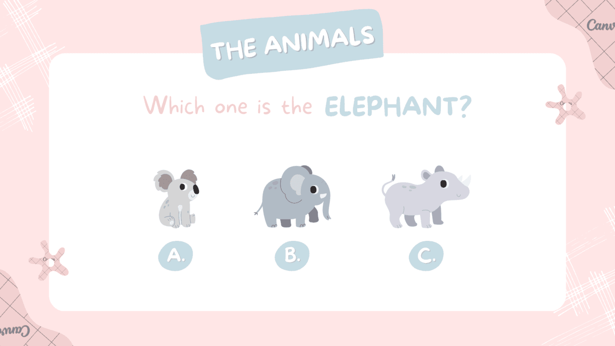Question Image