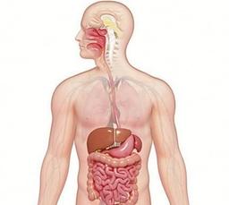 placeholder image to represent content