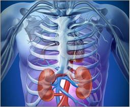 placeholder image to represent content