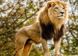 placeholder image to represent content