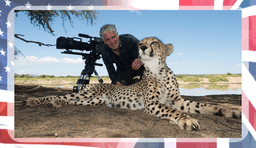 placeholder image to represent content