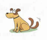 placeholder image to represent content