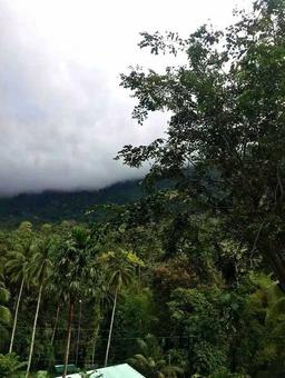 placeholder image to represent content