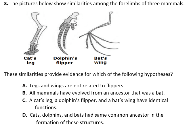 Question Image