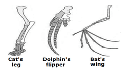 placeholder image to represent content