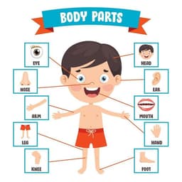 placeholder image to represent content