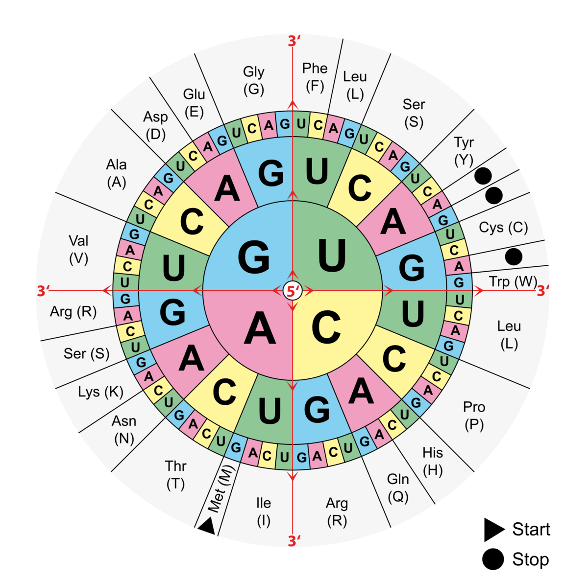 Question Image