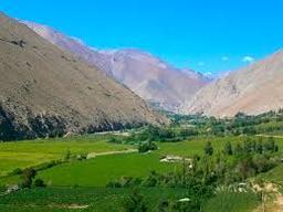 placeholder image to represent content