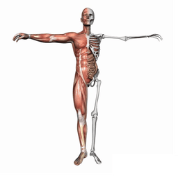 placeholder image to represent content