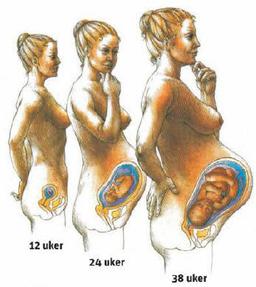 placeholder image to represent content