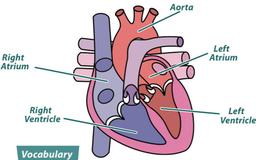 placeholder image to represent content