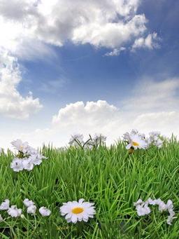 placeholder image to represent content