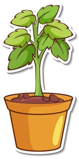 placeholder image to represent content