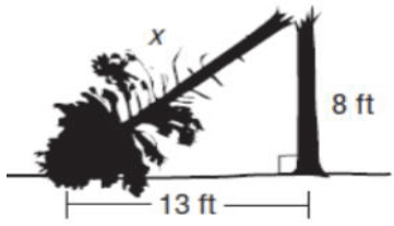 Question Image