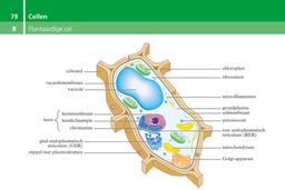 placeholder image to represent content